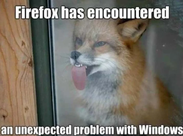 Fox Memes