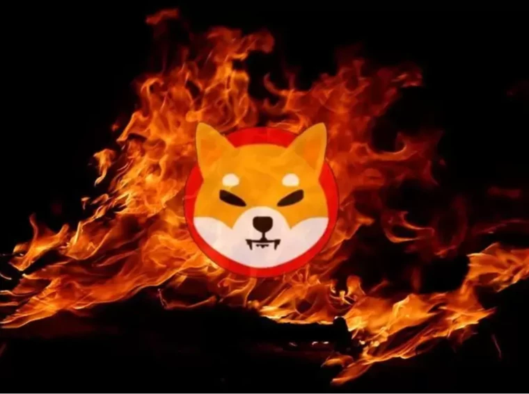 Shib burn tracker