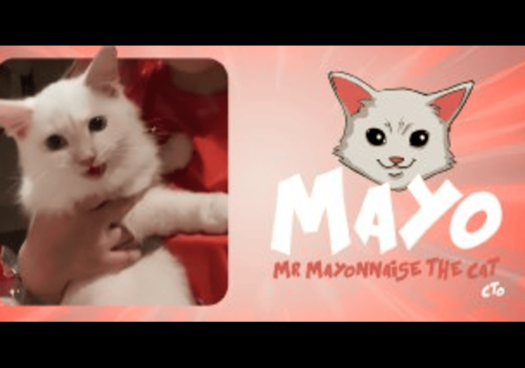 MAYO